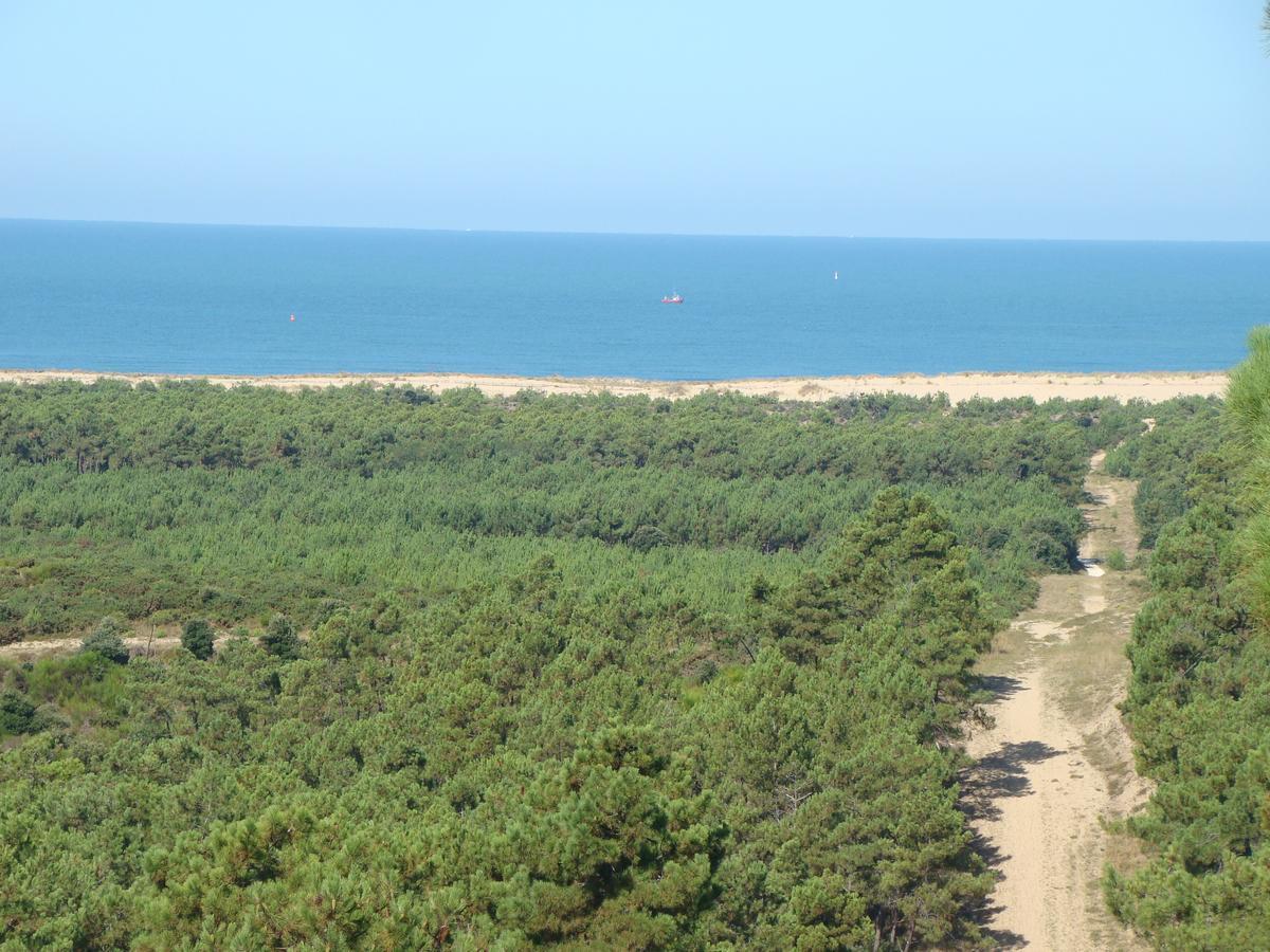 La Foret D'Armotte Saint-Augustin  Kültér fotó